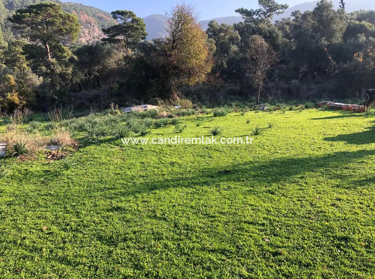 Ekincik Land For Sale 10,038M2 Land For Sale Field