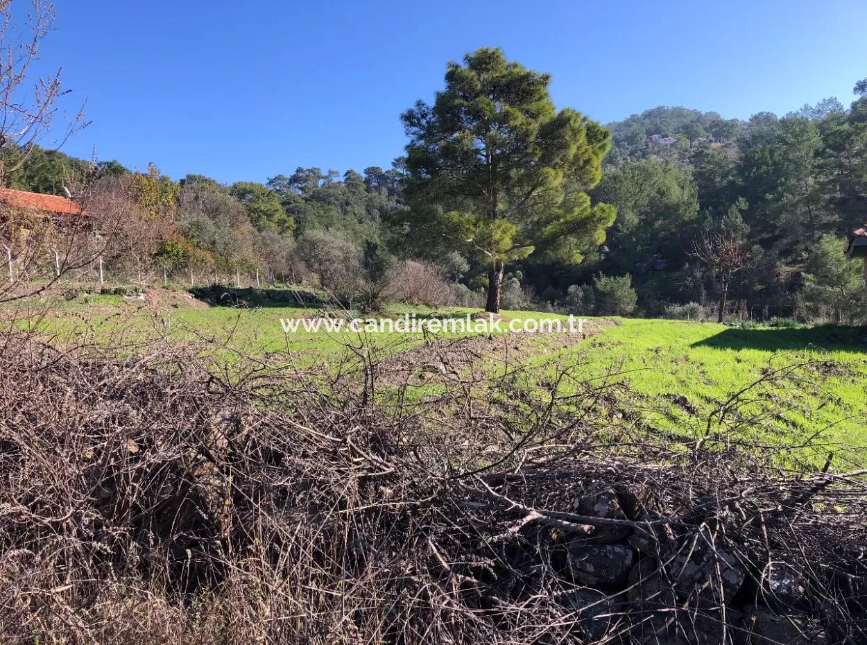 Gokbel Land For Sale 8000M2 Land For Sale With Full Sea View