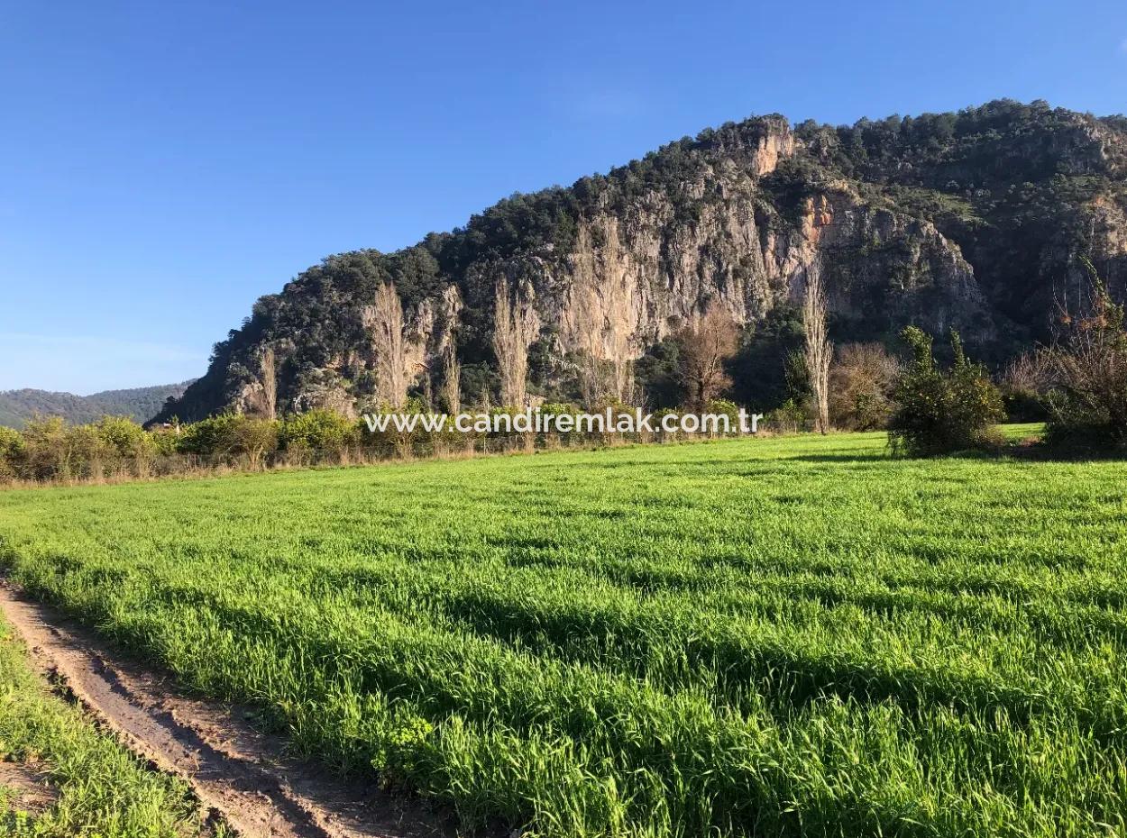 Land For Sale Marmarli 1500M2 Land For Sale