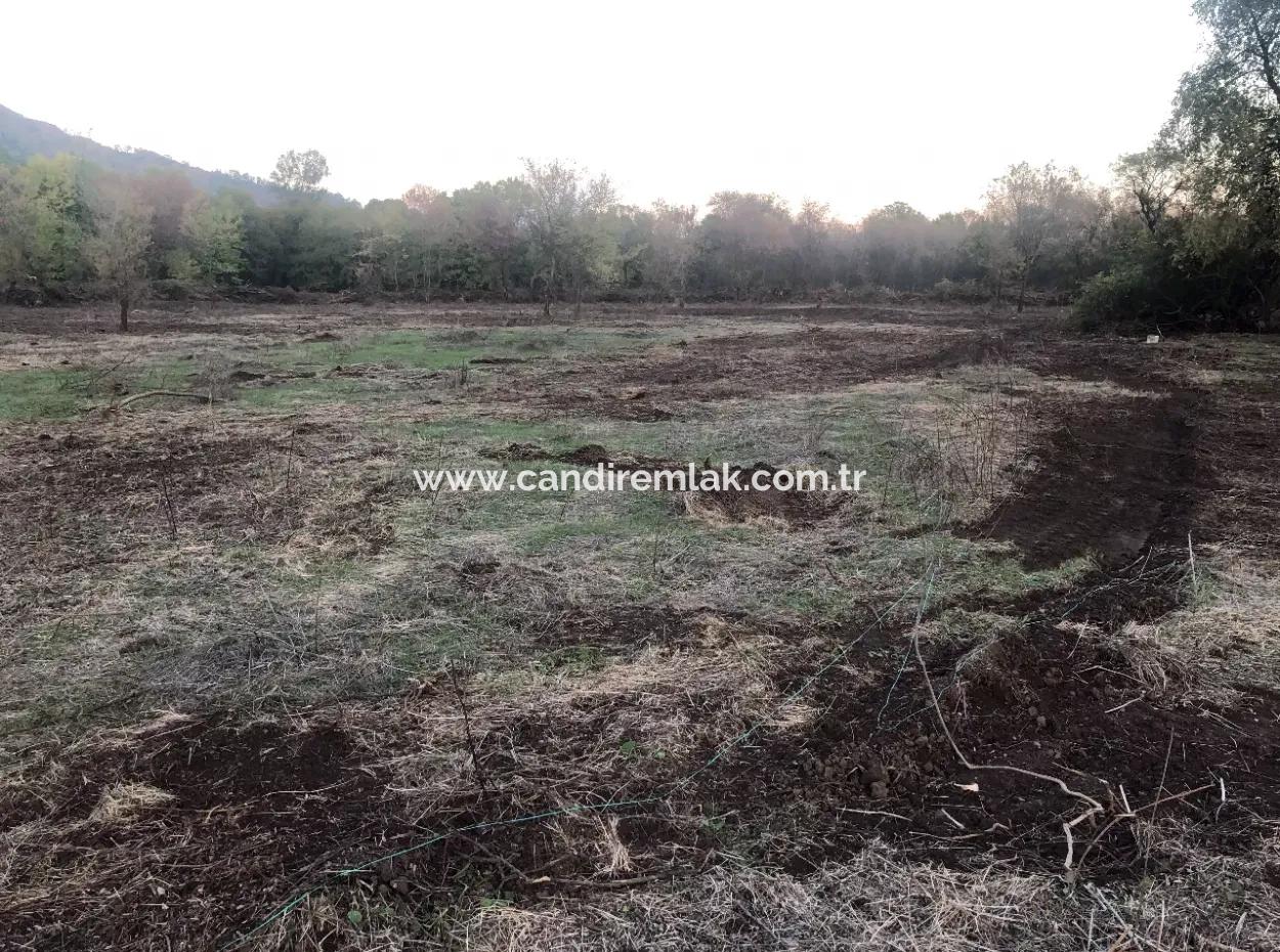 Sultaniye Land For Sale Near 10577M2 Lake Land For Sale