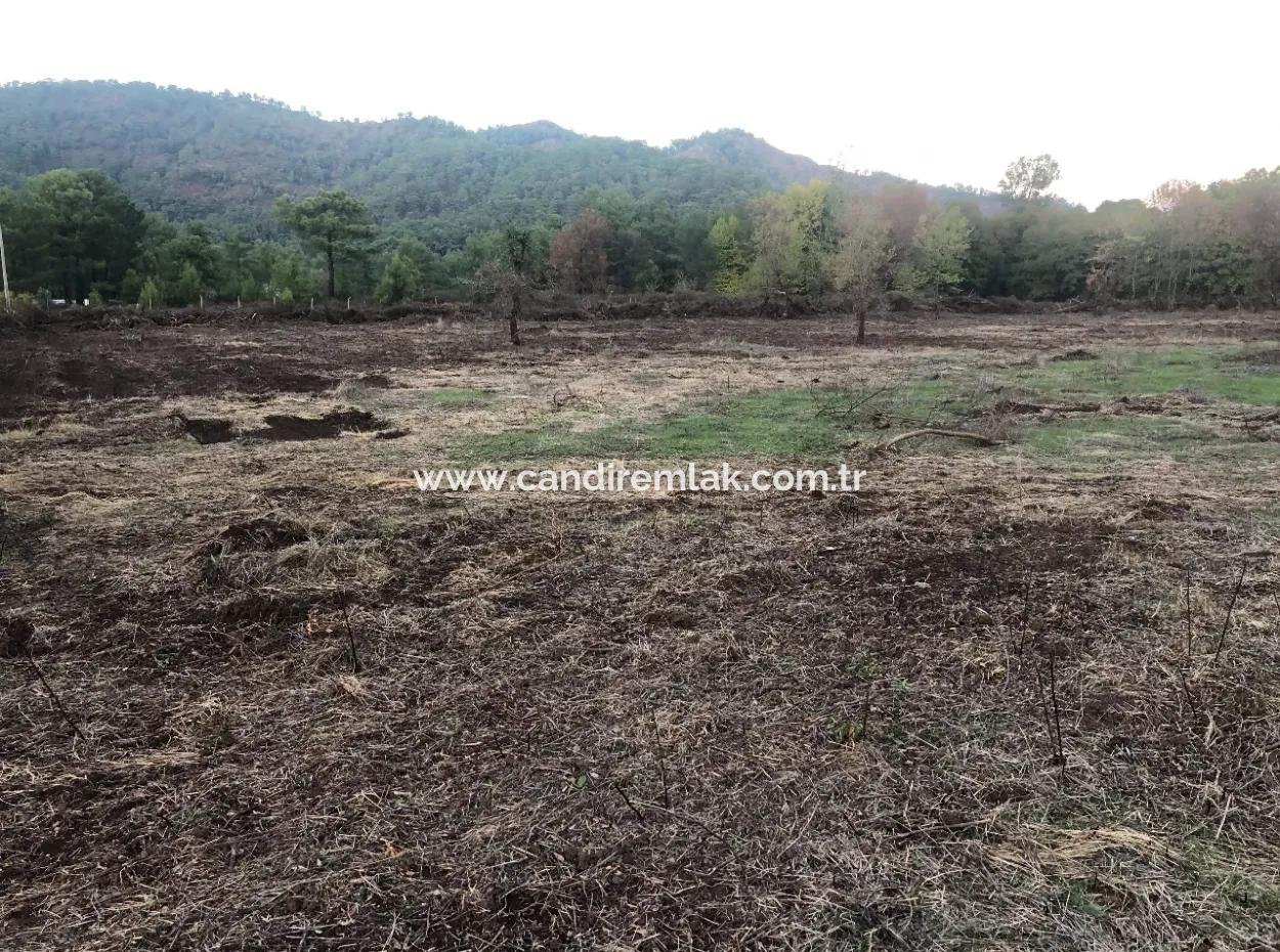 Sultaniye Land For Sale Near 10577M2 Lake Land For Sale
