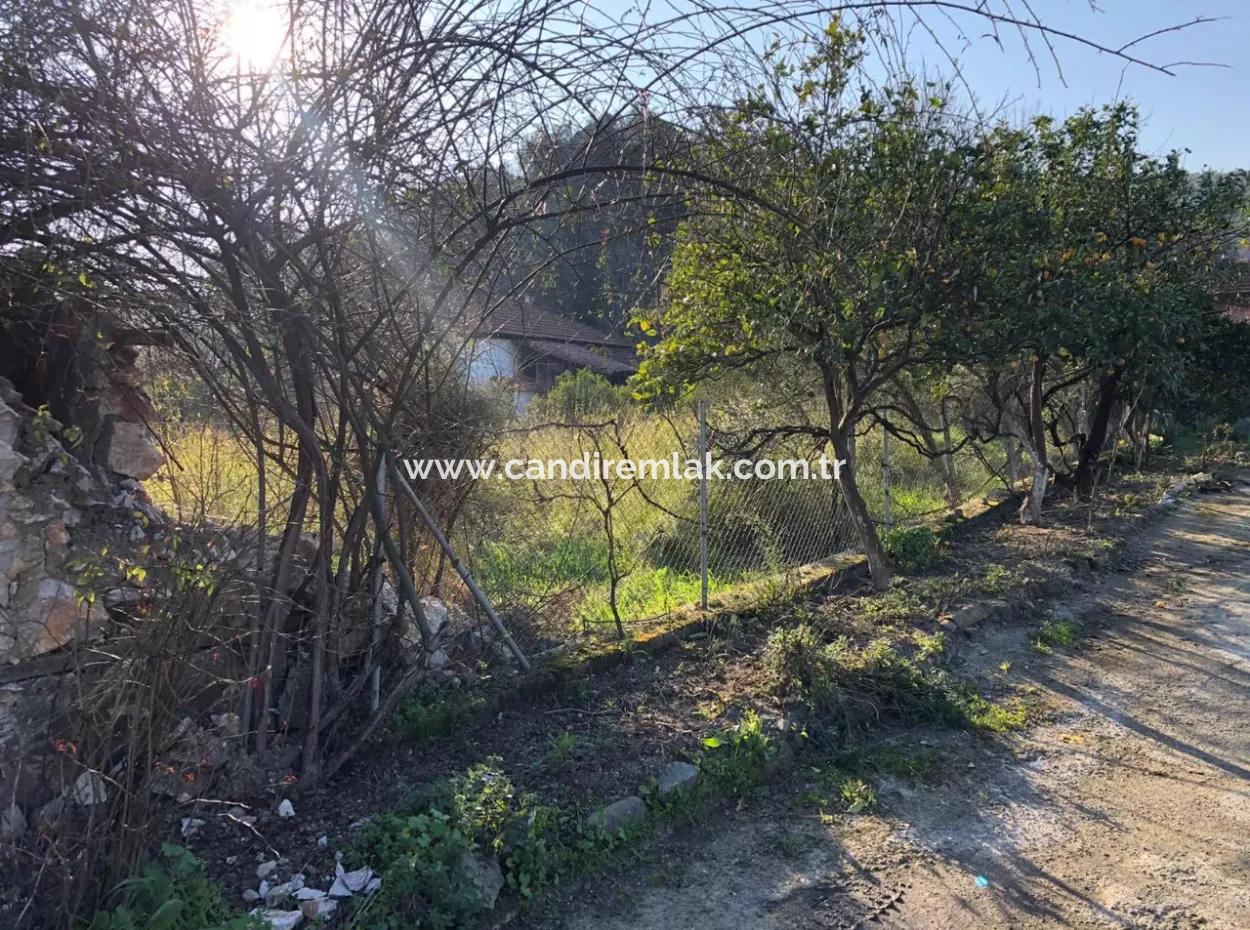 777M2 Land For Sale In Ula Sarayyanı