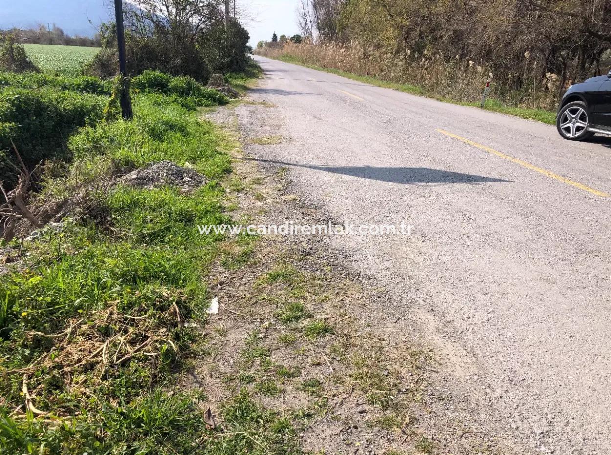 5500M2 Land For Sale In Dalyan