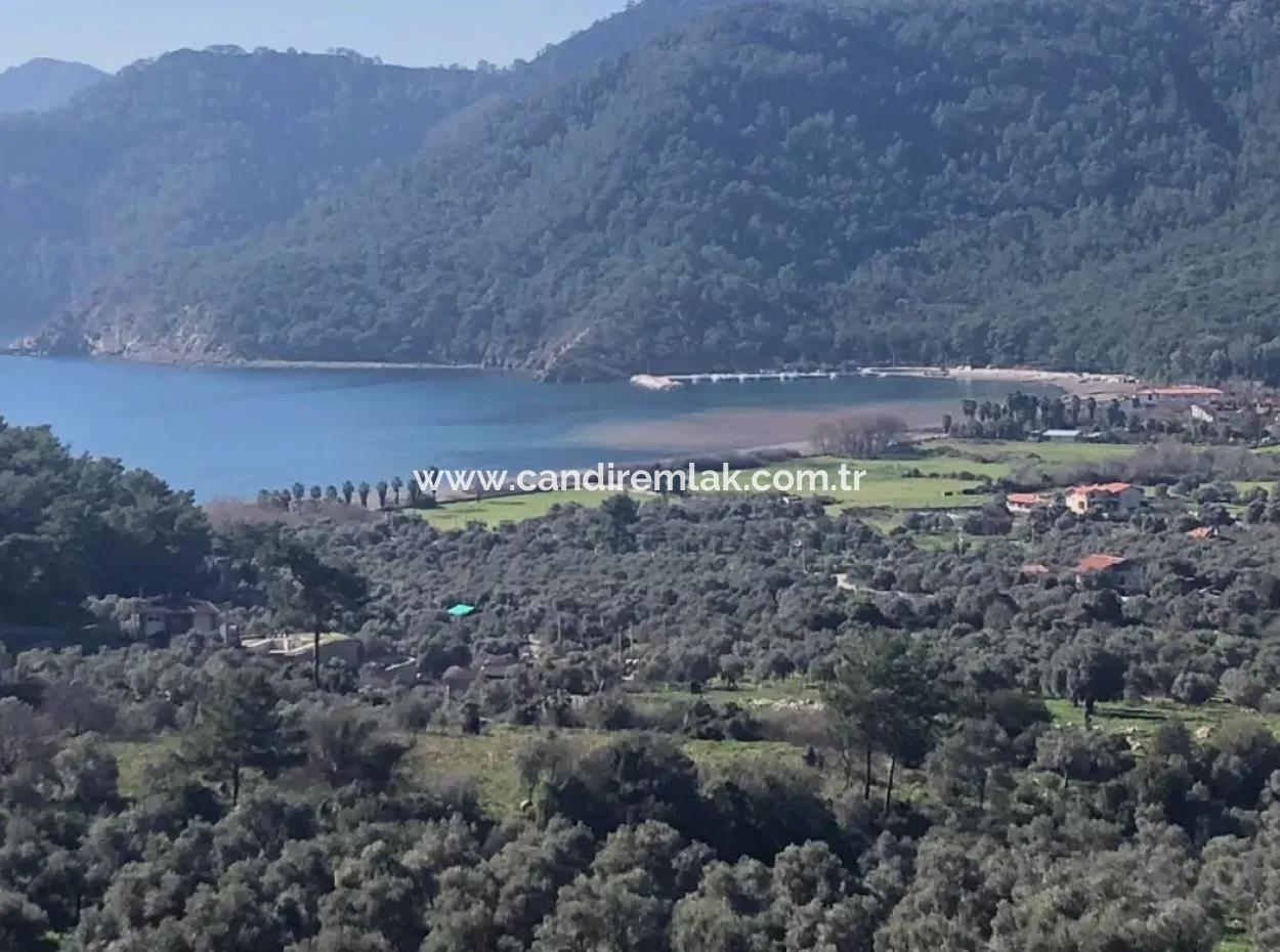 Ekincik Land For Sale Very Close To The Sea 2000M2 Land For Sale