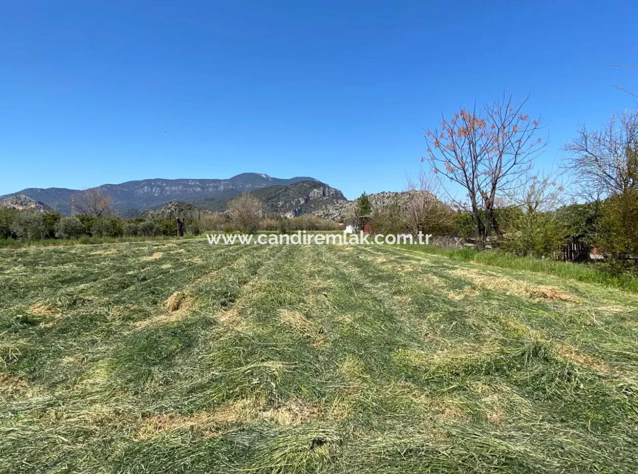 3700M2 Land For Sale In Dalyan