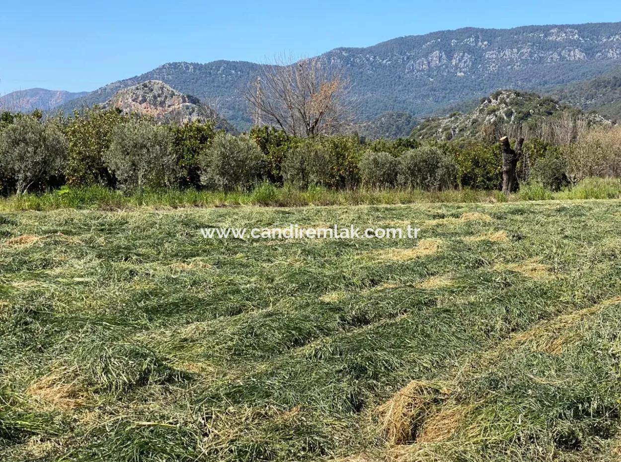 3700M2 Land For Sale In Dalyan