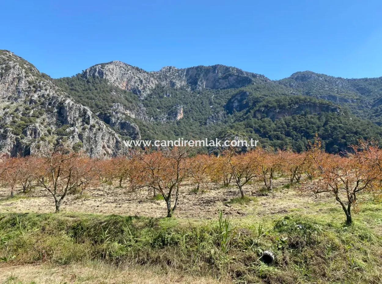 9310M2 Land For Sale In Dalyan