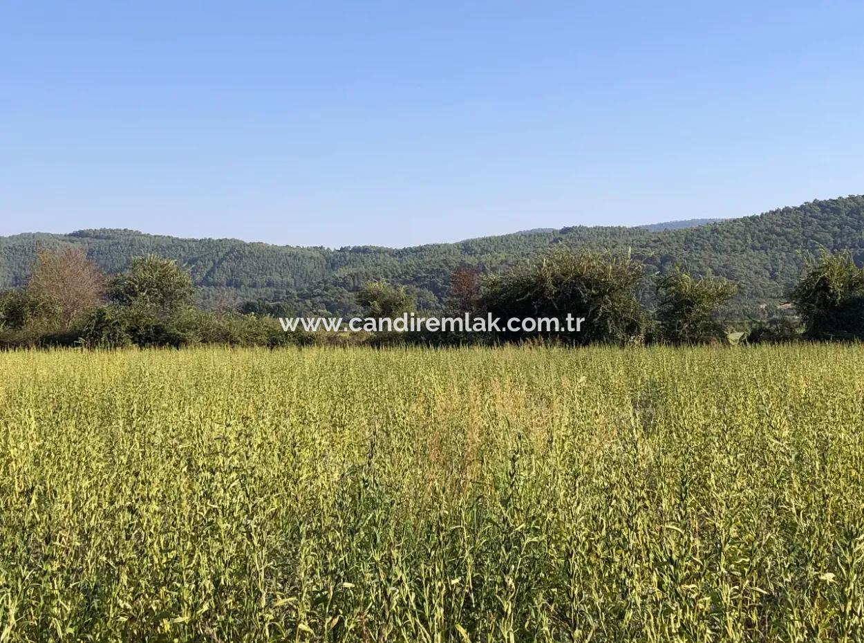 For Sale In Akçapinar 100 Acres For Sale