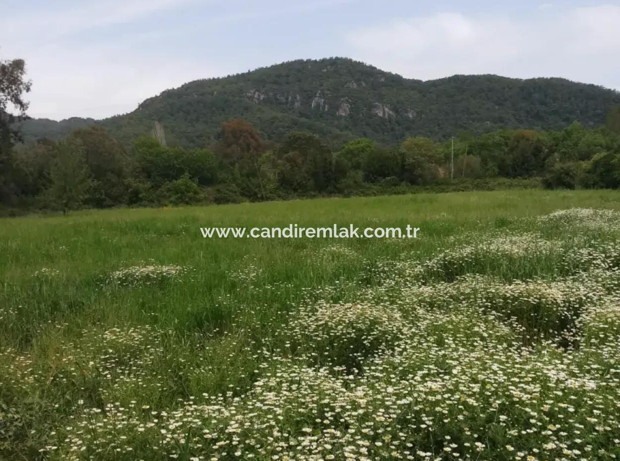 Land For Sale In Çamlida