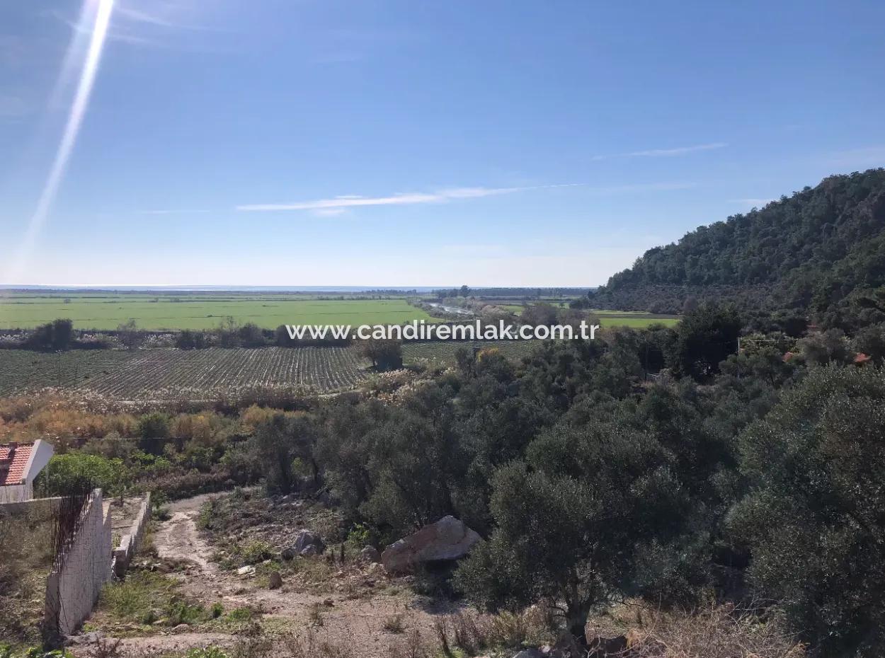 Land For Sale With Sea View Of Fevziye