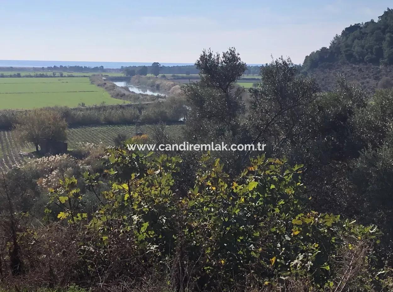 Land For Sale With Sea View Of Fevziye