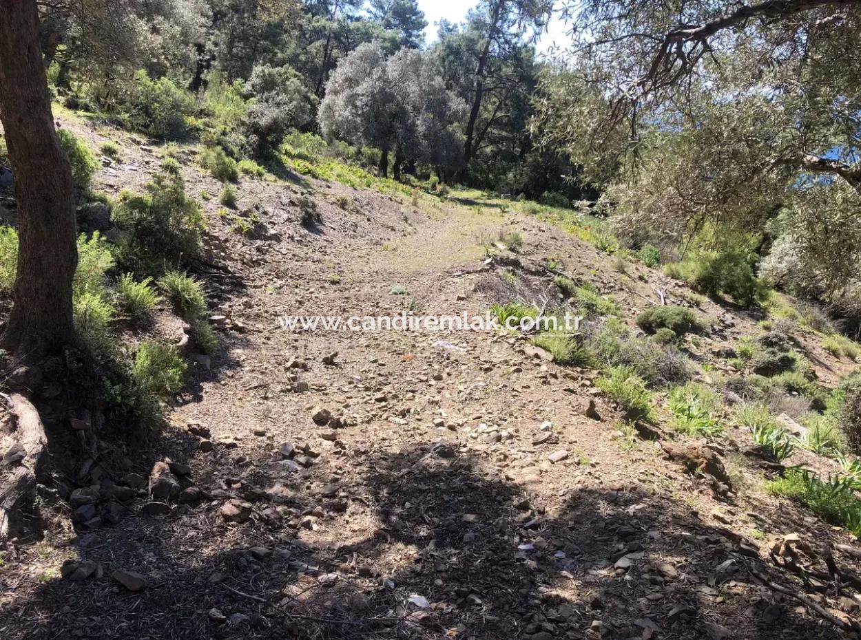 Land For Sale With Sea View In Çandir
