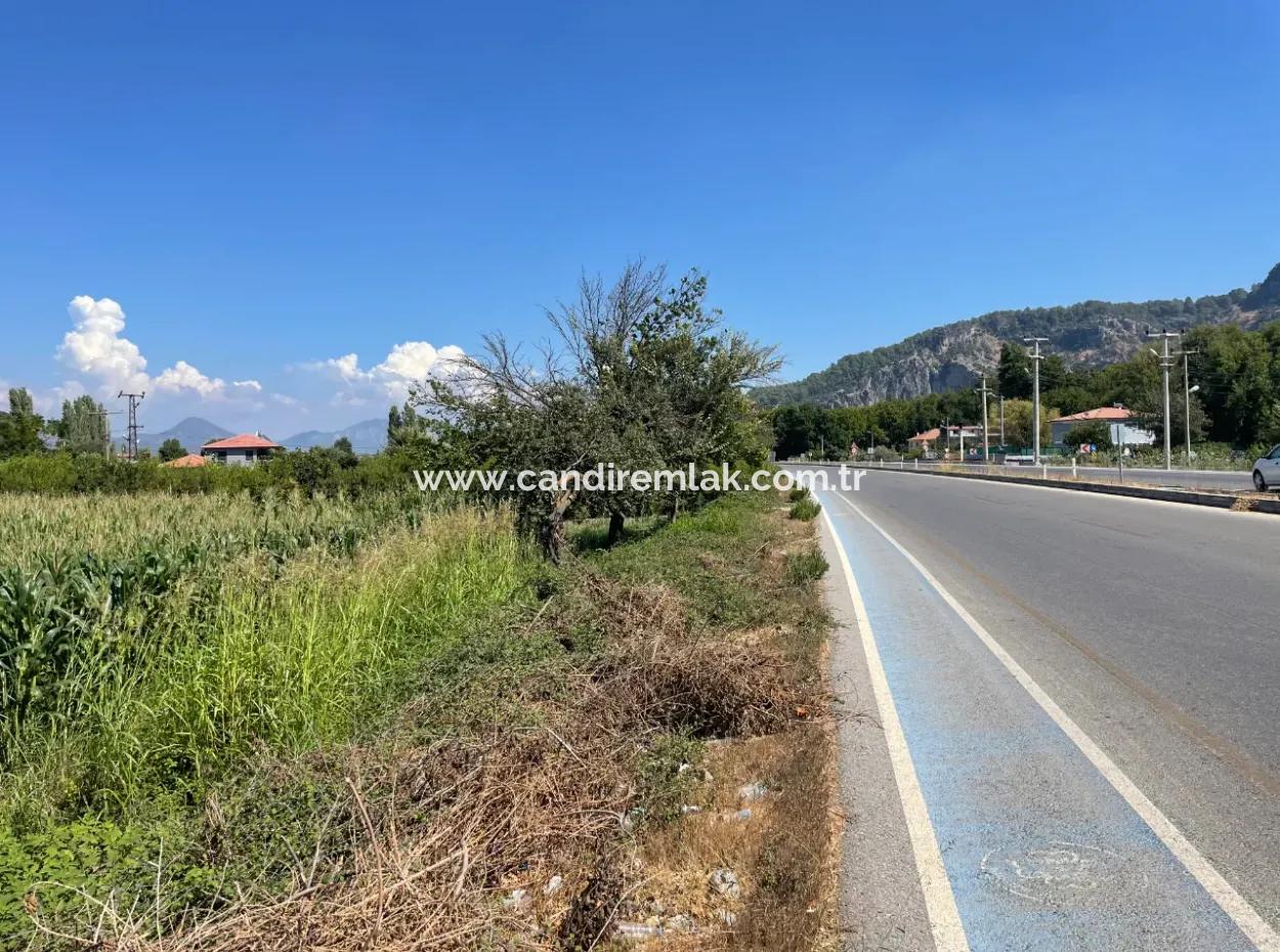 Dalyan Main Road Zero Land For Sale 8115M2 Commercial Land For Sale