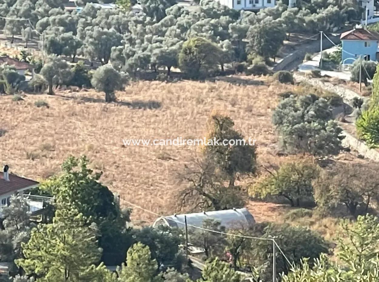 Çandir 3,800M2 Land For Sale