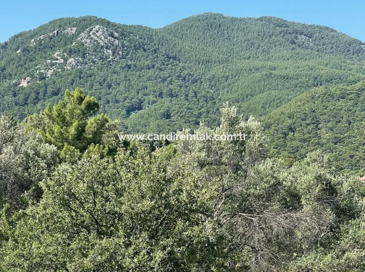 Land For Sale With Sea View In Gokbel