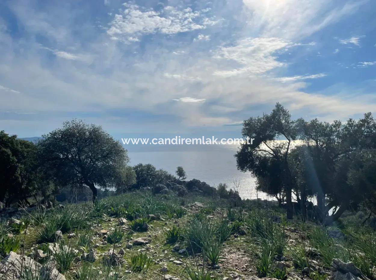 8,900M2 Field For Sale With Full Sea View In Ekincik