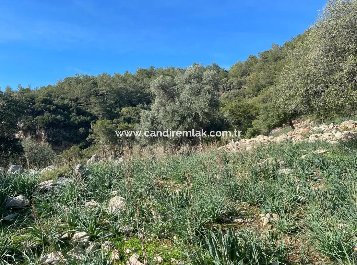 8,900M2 Field For Sale With Full Sea View In Ekincik