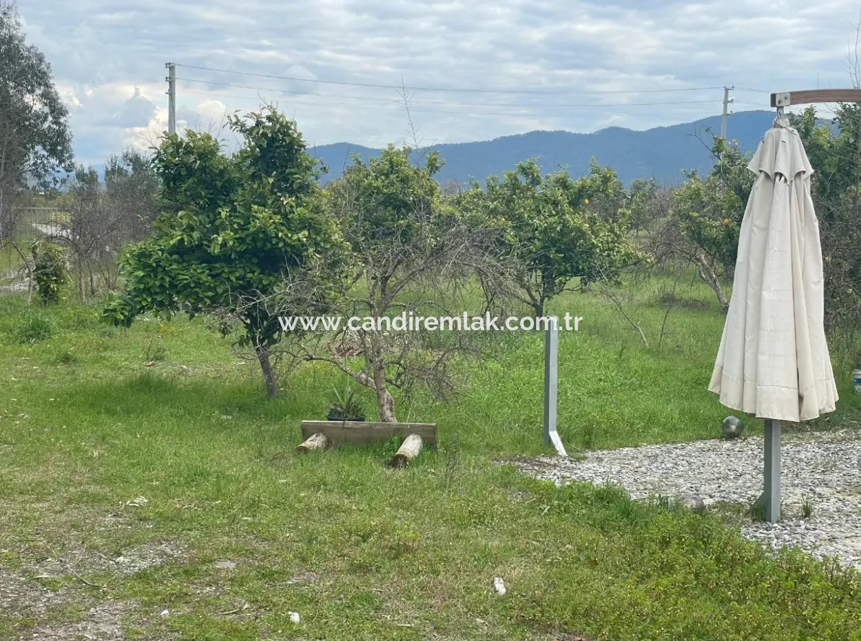 Dalyan Boutique Hotel For Sale Bungolevler For Sale In 11.000M2 Plot