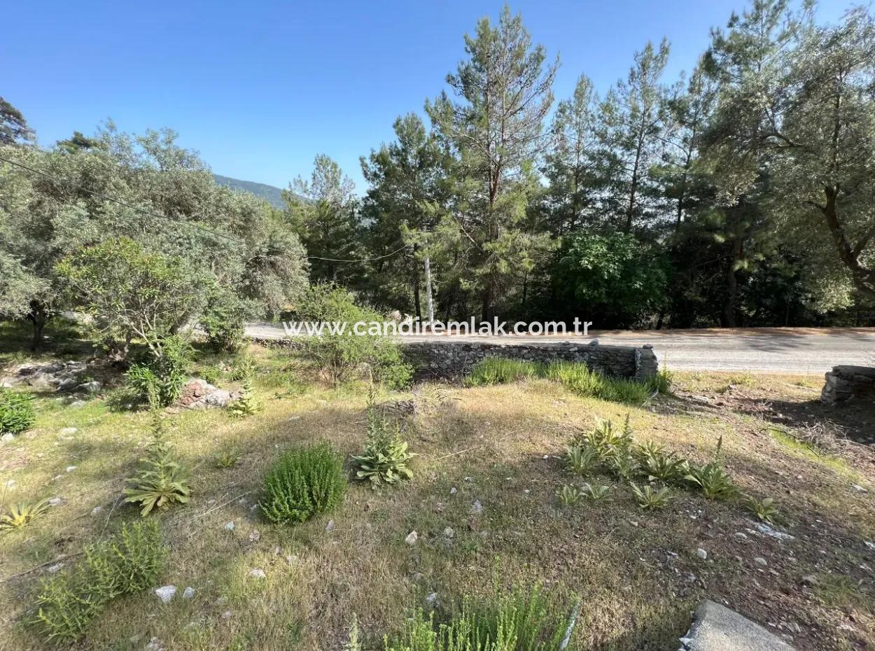 Detached House For Sale With Ekincik Sea View