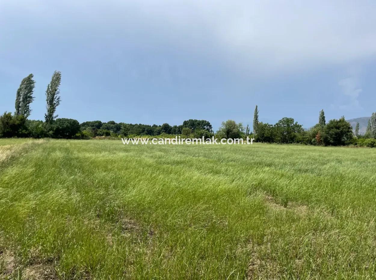 4595M2  Land For Sale In Okçular Marmarlı