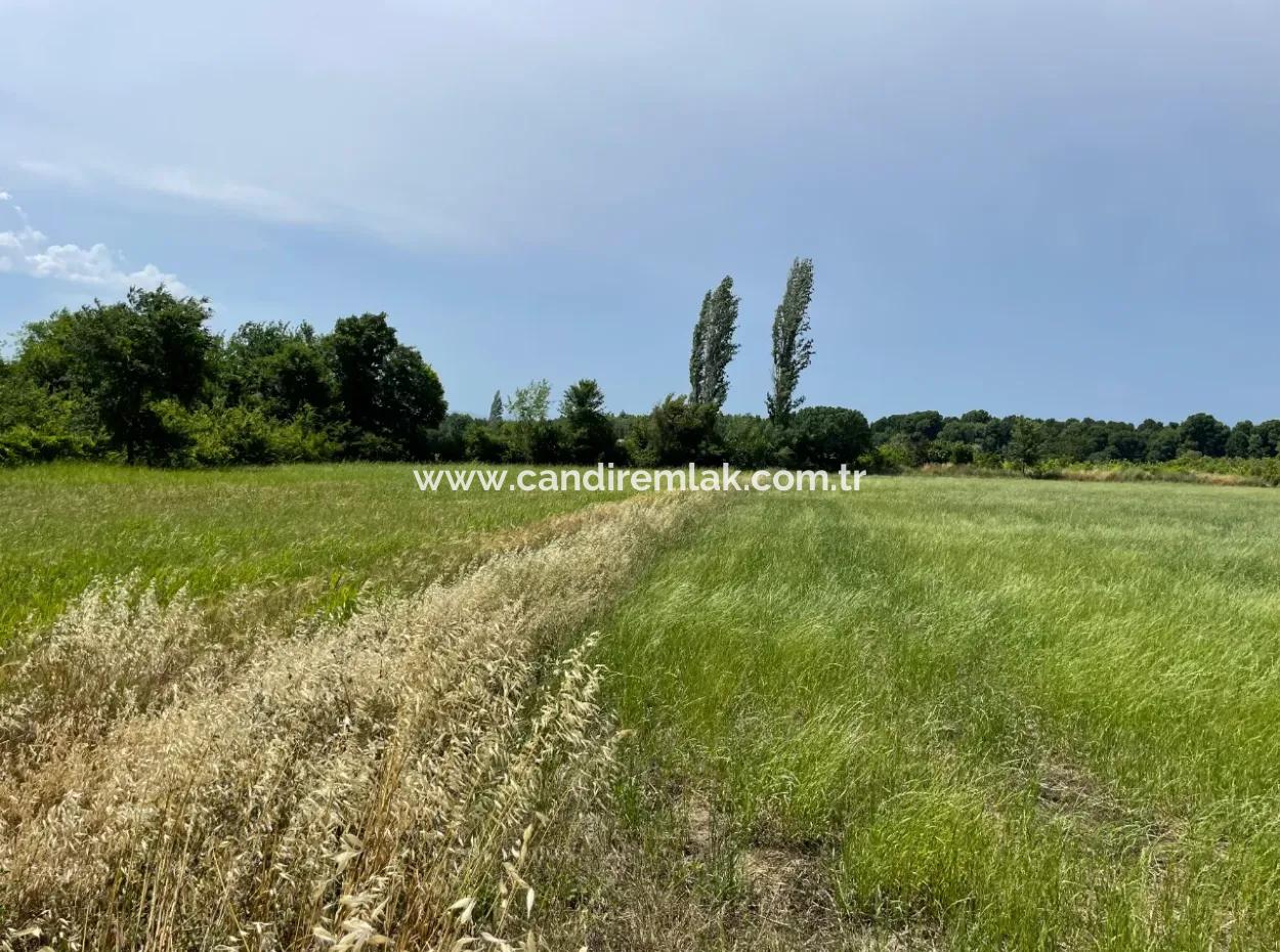 4595M2  Land For Sale In Okçular Marmarlı