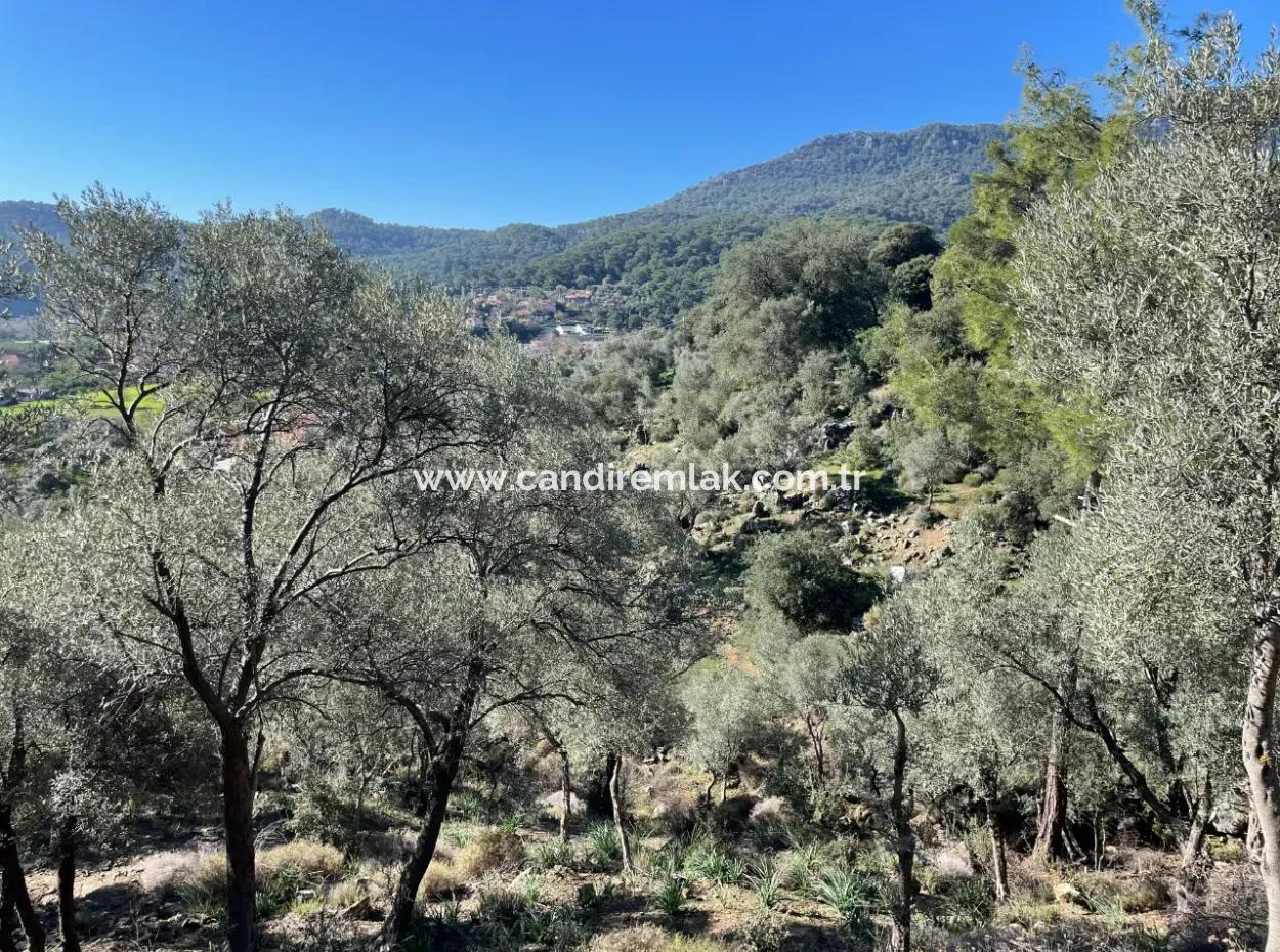 950M2 2B Field For Sale With Sea And Lake View In Çandır