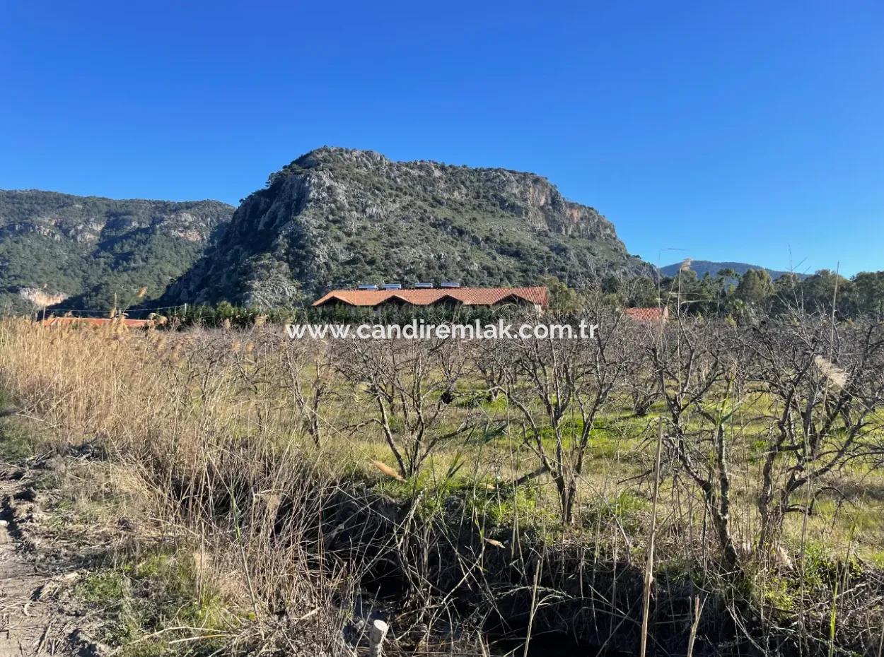 Dalyan Iztuzu Road Zero 5216M2 Field Plot For Sale