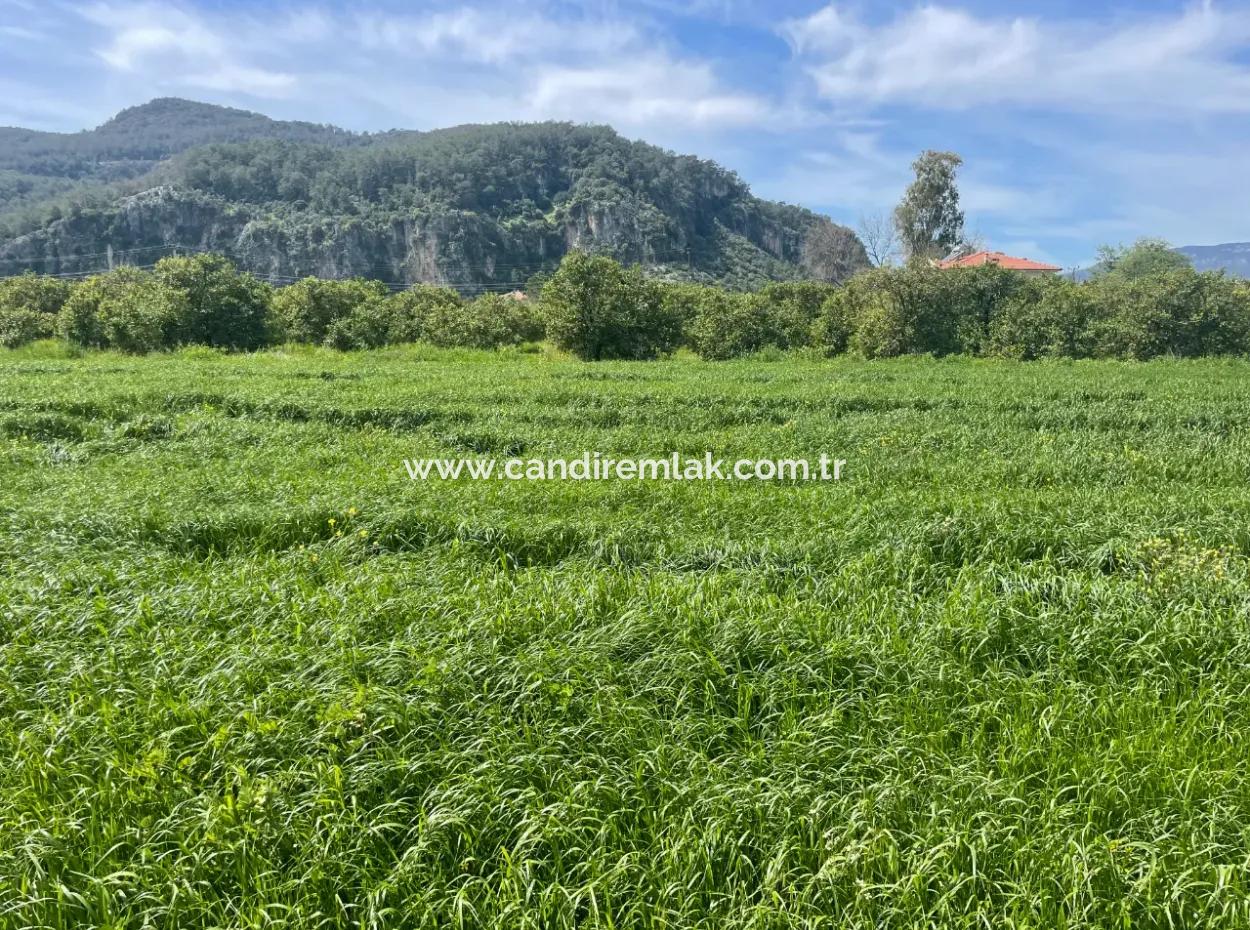 736M2 Land For Sale In Okçular