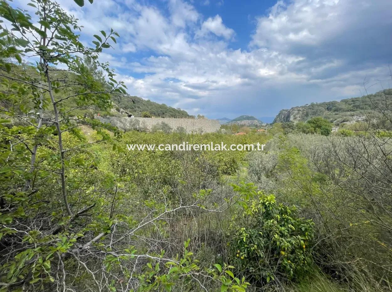 5000M2 Field For Sale At The Beginning Of The Road In Çandır
