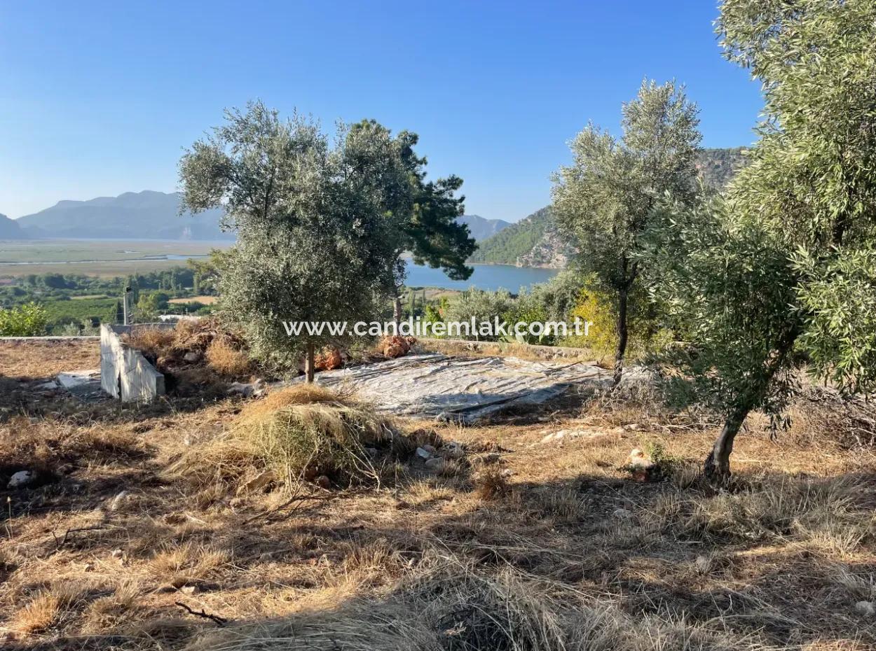 Çandır Full Sea And Lake View 500M2 2B Field For Sale