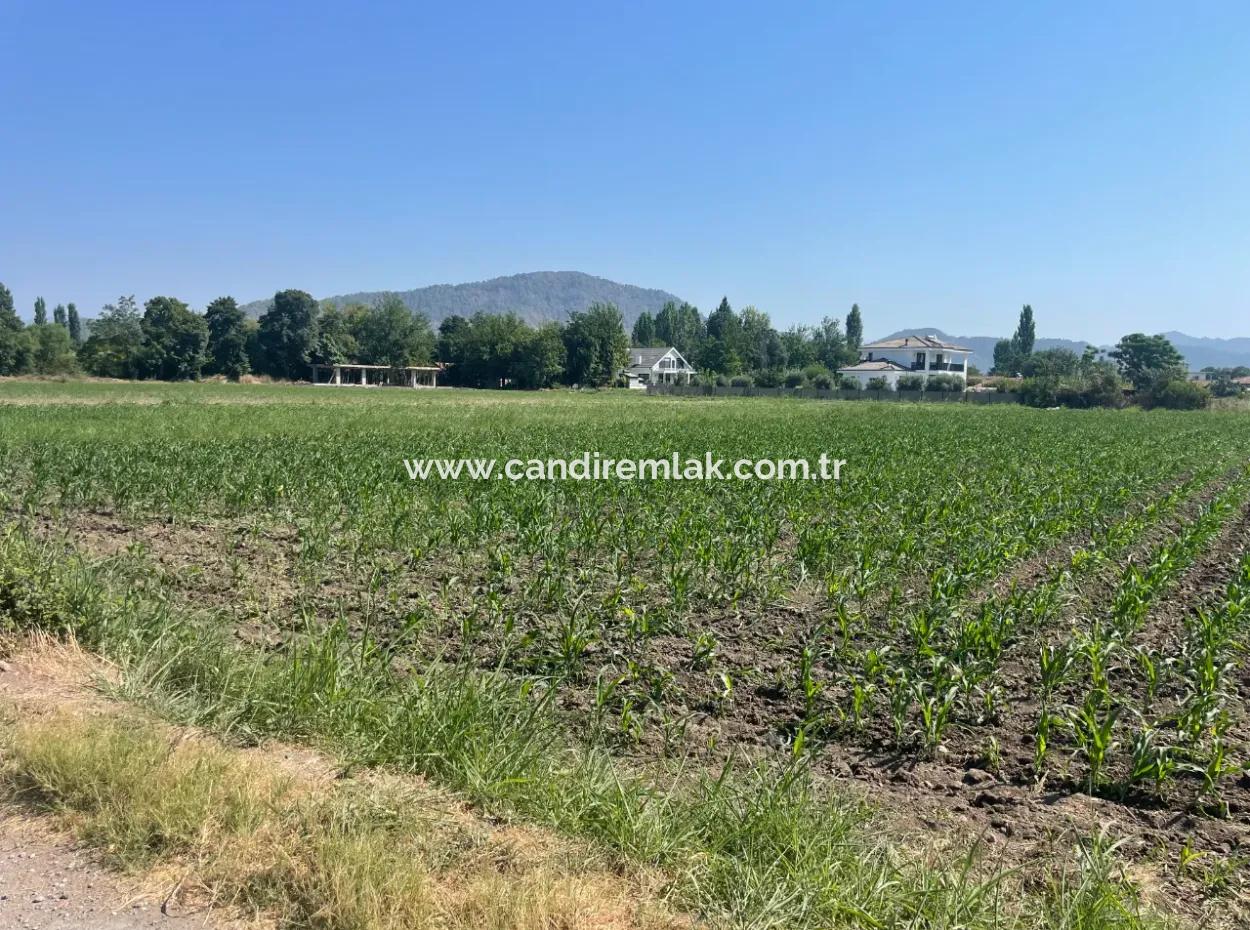 Land For Sale Of 2715M2 In The Built-Up Area Of The Village In Okçular
