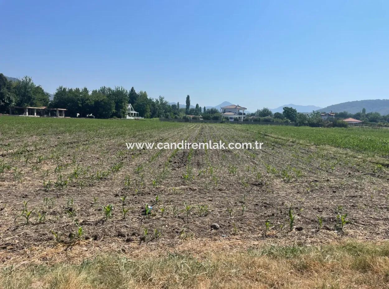 Land For Sale Of 2715M2 In The Built-Up Area Of The Village In Okçular