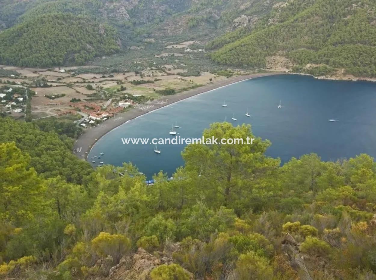 Land For Sale 1007M2 Near The Sea In Ekincik