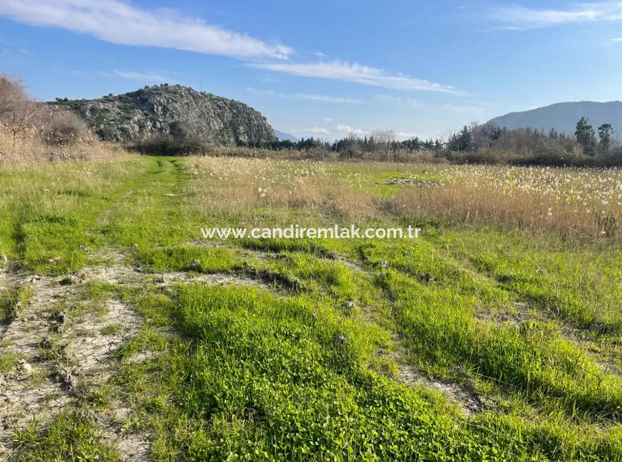 6800 M2 Land For Sale In Dalyan With 5% Residential Zoning