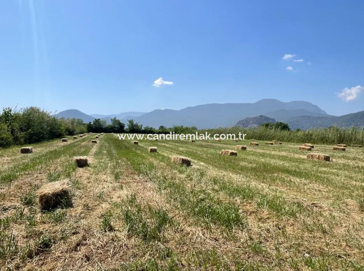 6,500M2 Field For Sale On The Iztuzu Road In Dalyan