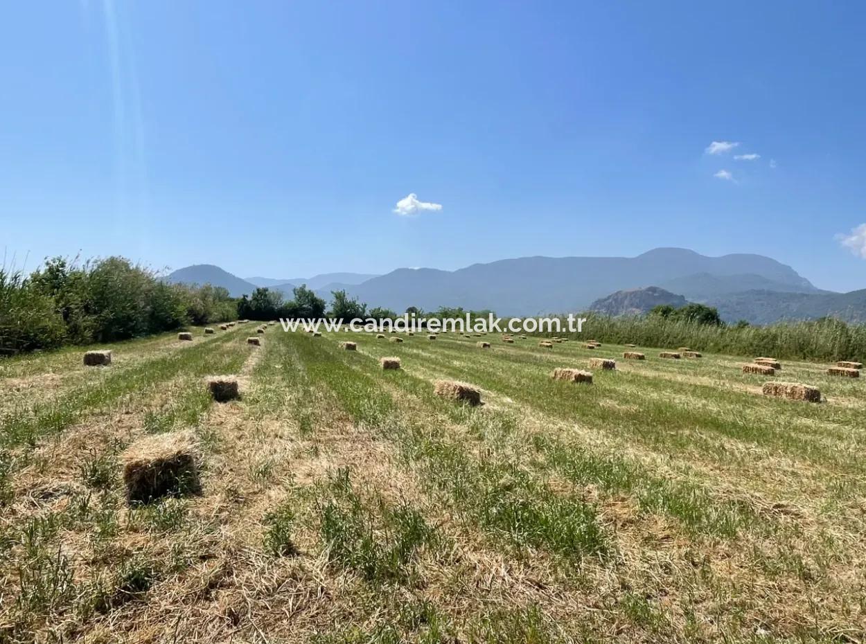 6,500M2 Field For Sale On The Iztuzu Road In Dalyan