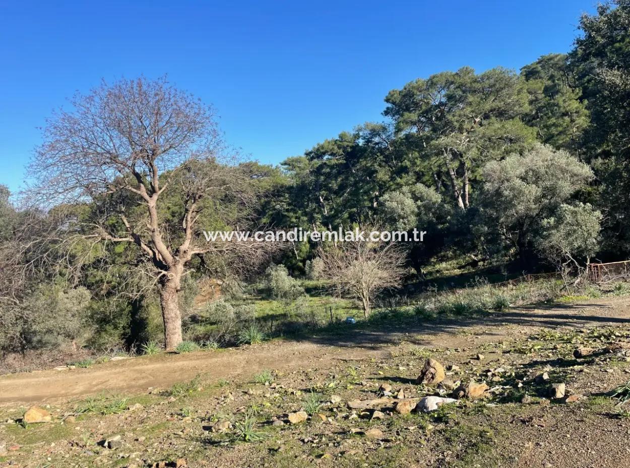 2B Land For Sale With Sea View In Çandır