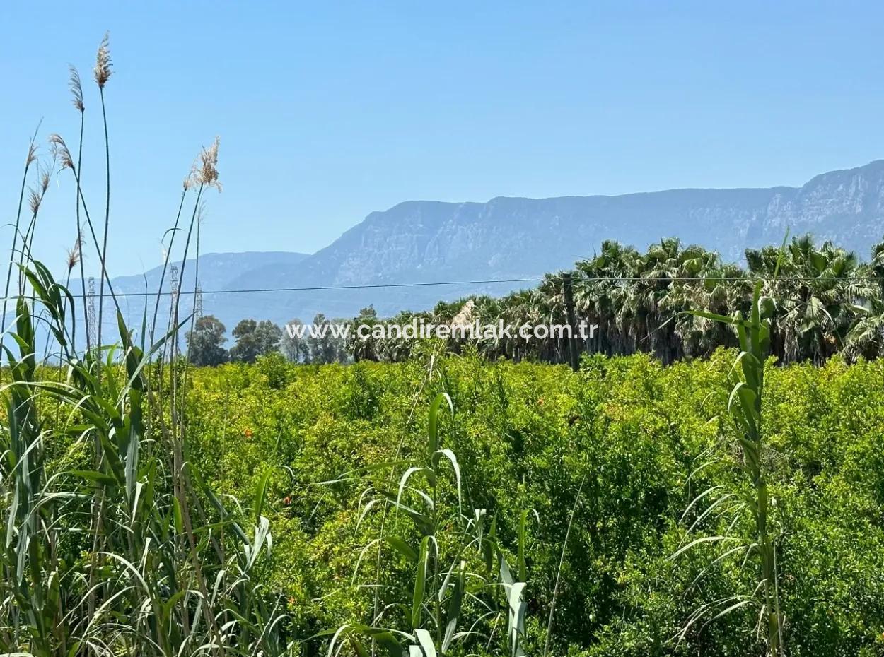 13,500M2 Roadfront Field For Sale In Akyaka Akçapınar
