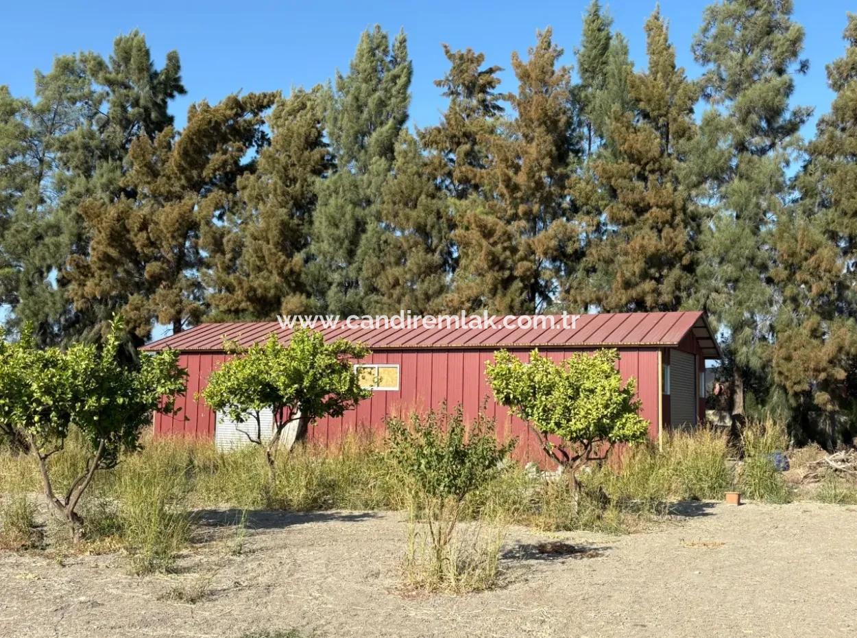 19.663M2 Farm Land And House For Sale In Eskiköy