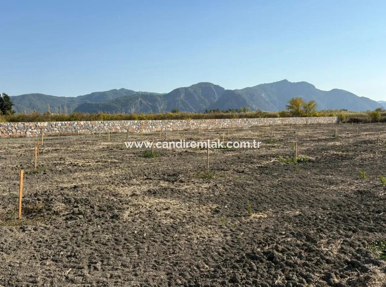 19.663M2 Farm Land And House For Sale In Eskiköy