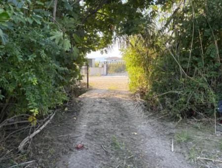 6150M2 Lemon And Pomegranate Garden For Sale In Eskiköy