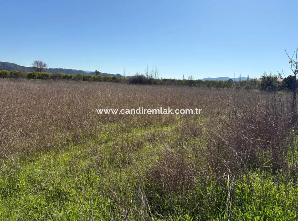 Ortaca Yeşilyurt'da 4064M2 İmarılı Satılık Arsa