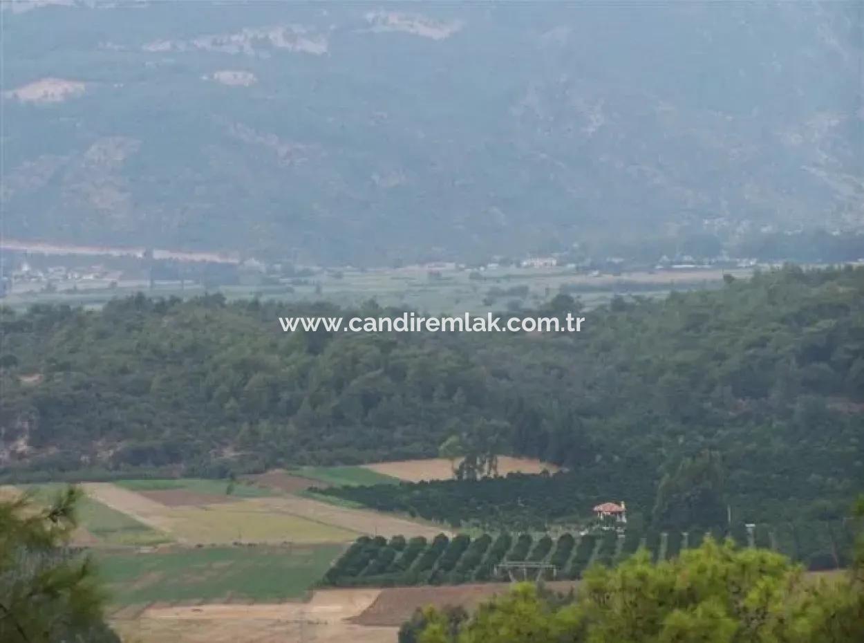 Gökçe Satılık Arsa Gökçe 21671M2 Satılık Tarla