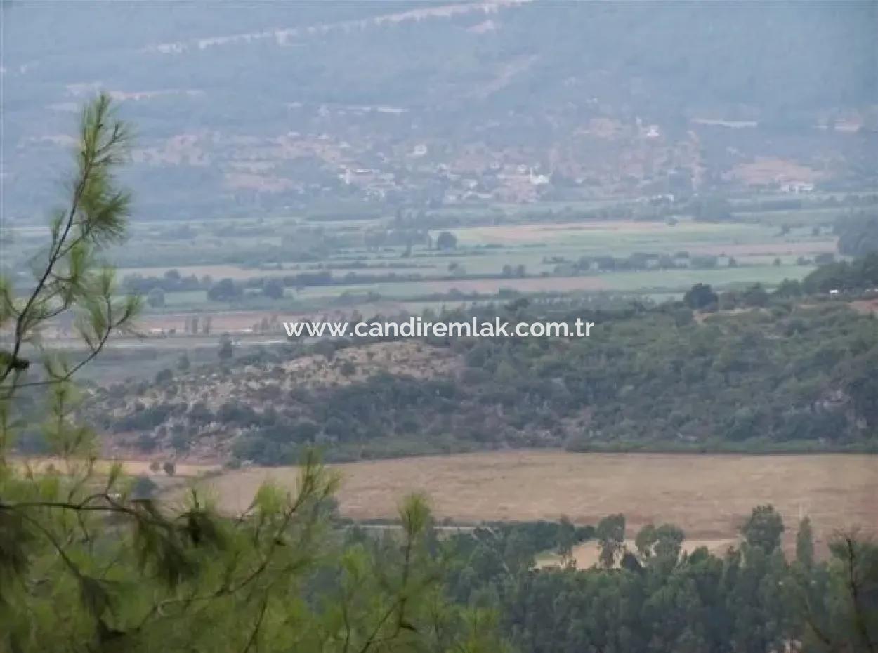 Gökçe Satılık Arsa Gökçe 21671M2 Satılık Tarla