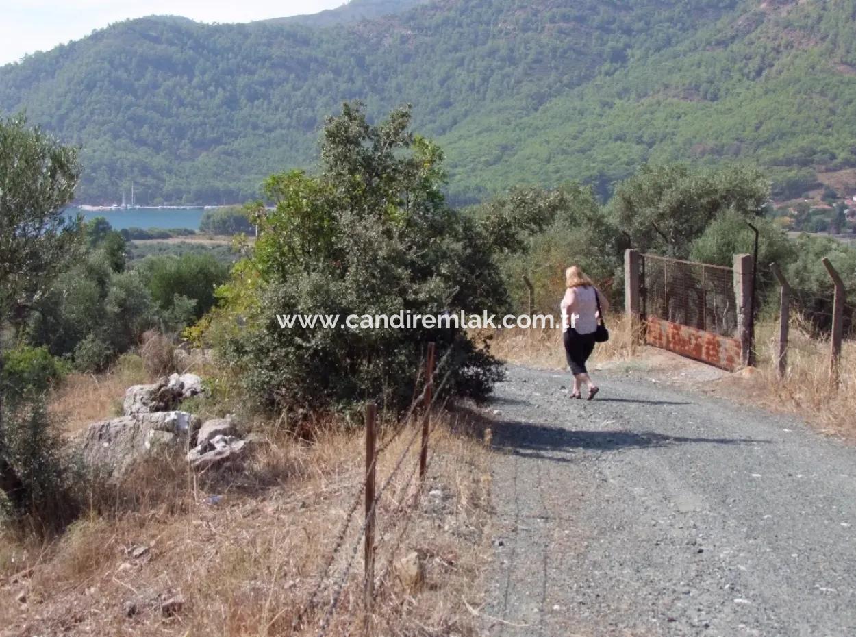 Ekincik Satılık Arsa Deniz Manzaralı 5,391M2 Satılık Arsa