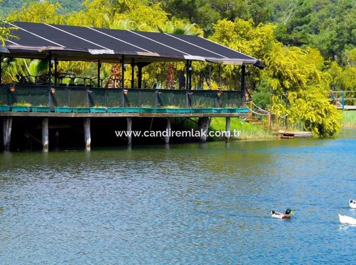 Çamlıda Satılık Arsa Arazi Marmaris Çamlıda Deniz Manzaralı 11720M2 Satılık Arsa