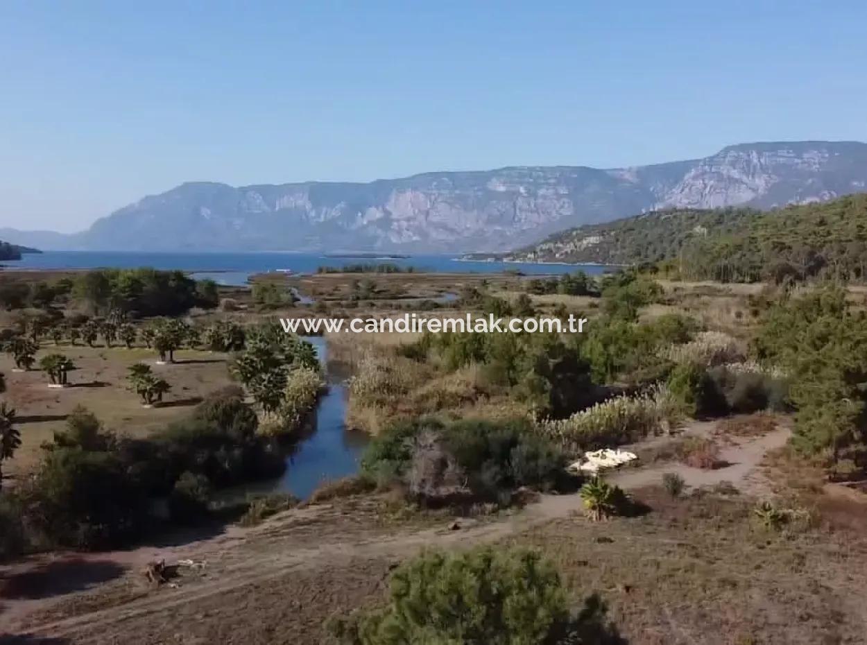 Çamlıda Satılık Arsa Arazi Marmaris Çamlıda Deniz Manzaralı 11720M2 Satılık Arsa