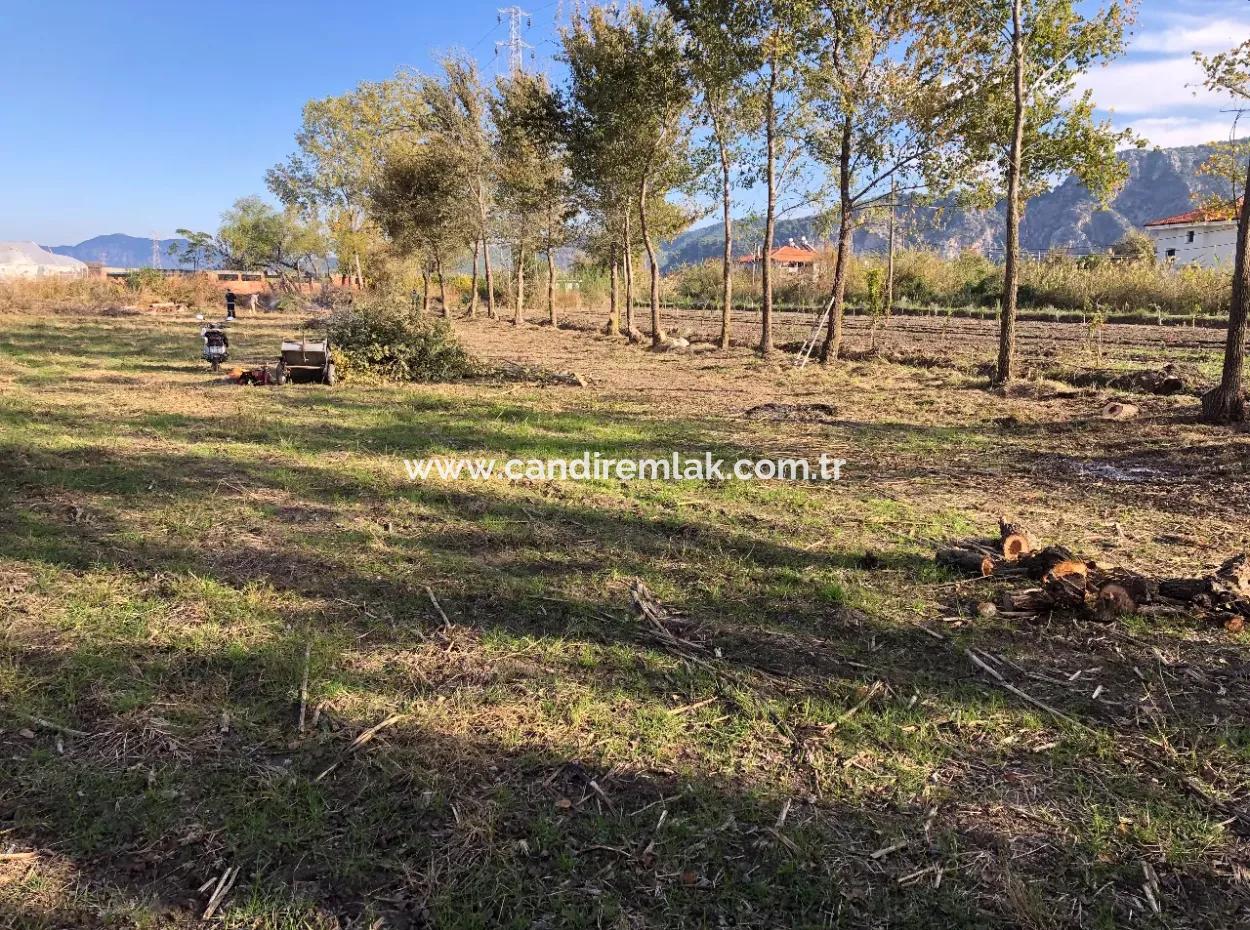 Dalyan'da 2540M2 Satılık Arsa