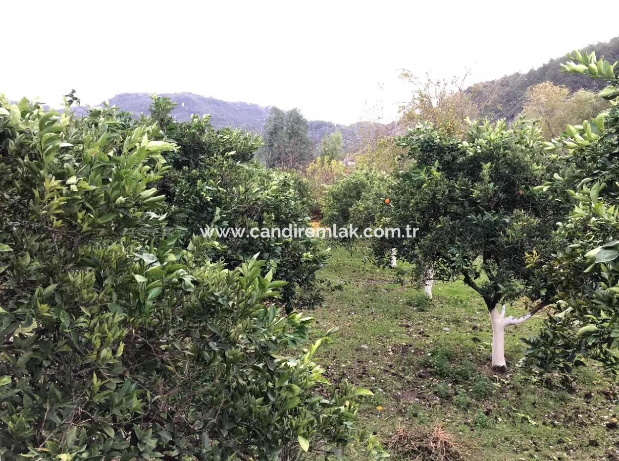 Okçular'da 1222M2 Arsa İçerisinde Satılık Tek Katlı Müstakil Ev