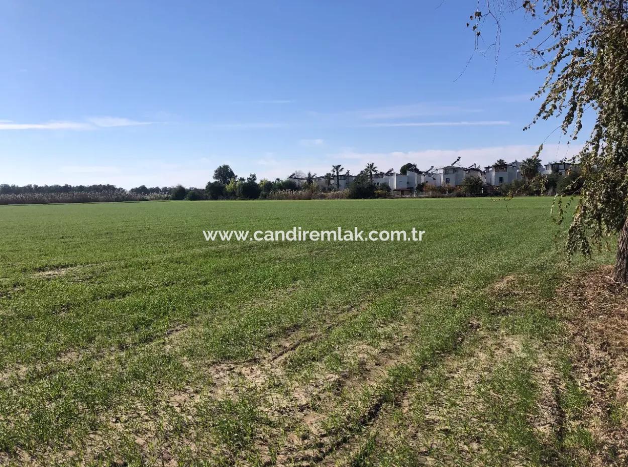 Sarıgermede Satılık Arsa Deniz Manzaralı 30,000M2 Satılık Arsa